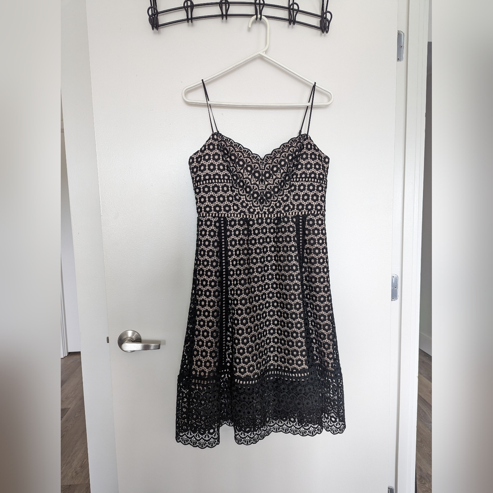 J. Crew Petite Daisy Lace Dress, Size 8P